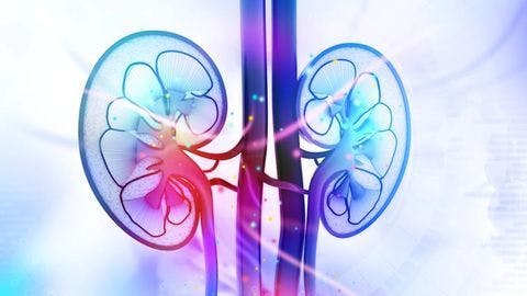 Acute interstitial nephritis linked to immunotherapy response in kidney cancer