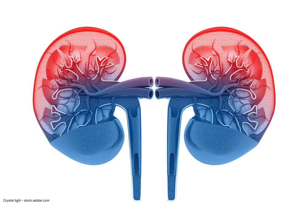 Nivolumab/cabozantinib combo approved in EU for frontline kidney cancer