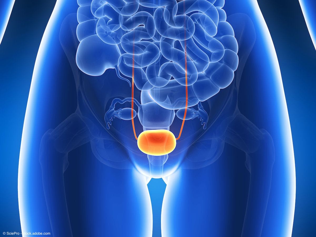 3d illustration of bladder | Image Credit: © SciePro - stock.adobe.com