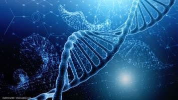 Study identifies germline genetic variants linked to increased risk of prostate cancer