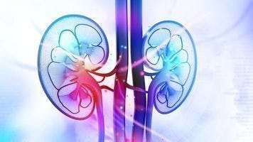 Lenvatinib/pembrolizumab survival benefit in kidney cancer sustained with longer follow-up