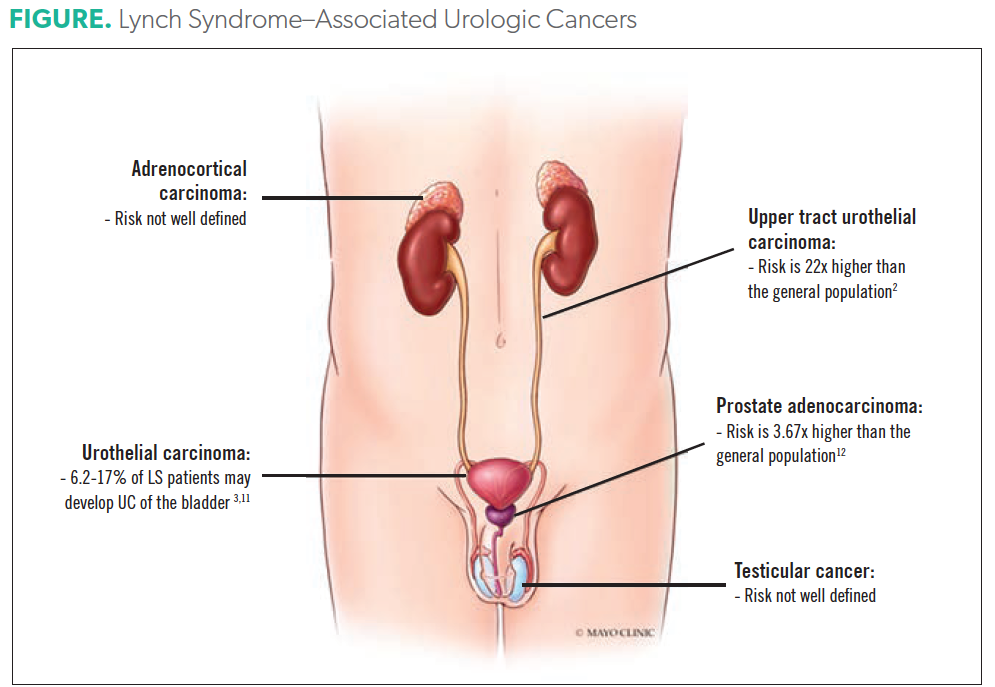 Lynch Syndrome-Associated Urologic Cancers