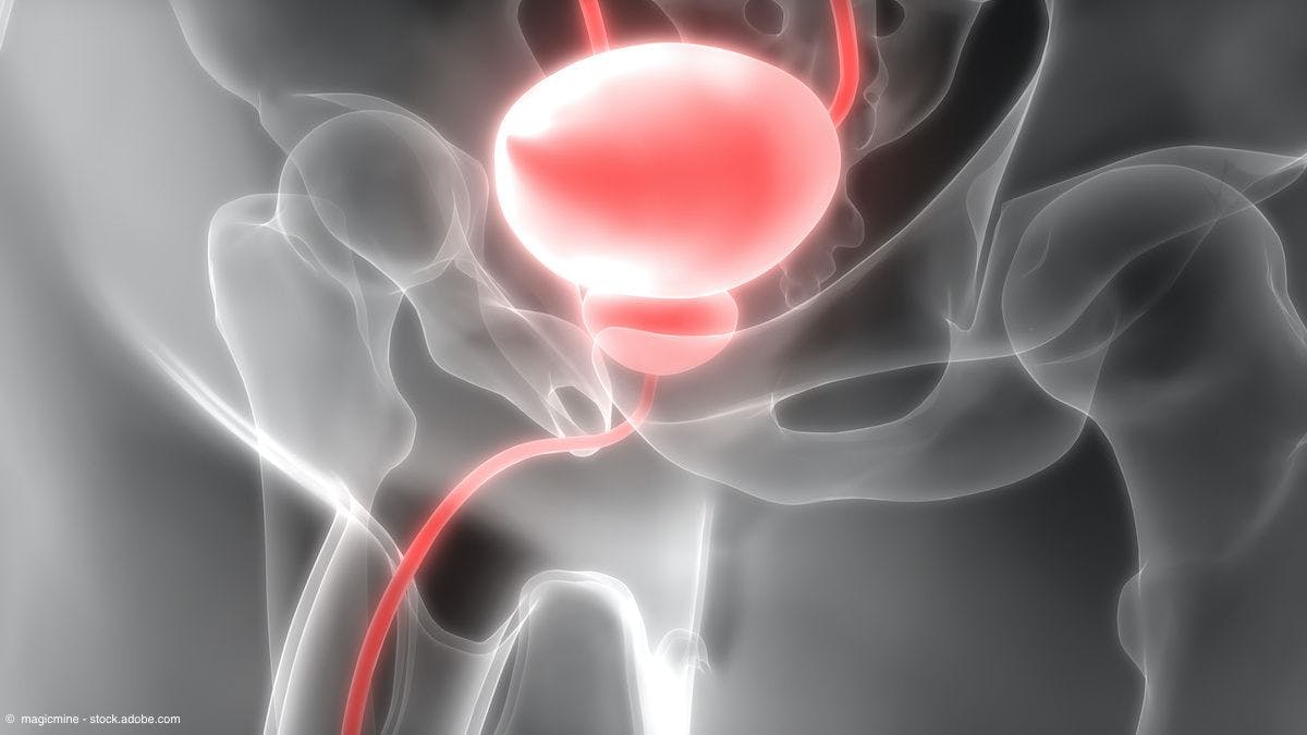 illustration of urinary bladder